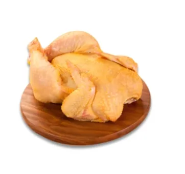 Pollo manaurero (14000 kl)