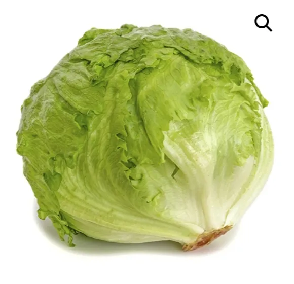 Lechuga